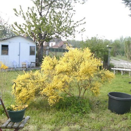 Гостевой дом Ferme Lenfant Ville-Pommeroeul Экстерьер фото