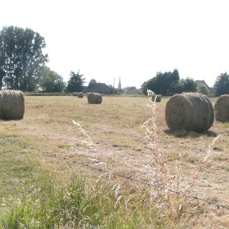 Гостевой дом Ferme Lenfant Ville-Pommeroeul Экстерьер фото