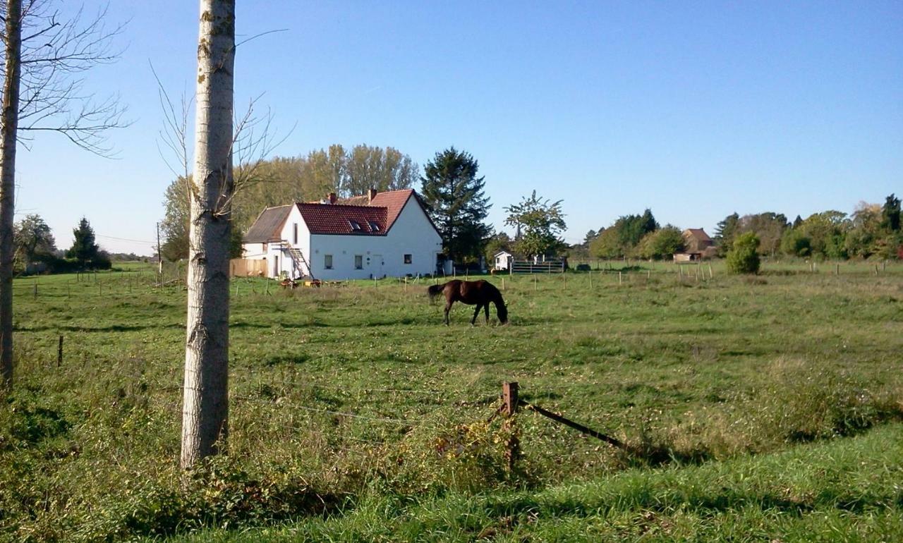 Гостевой дом Ferme Lenfant Ville-Pommeroeul Экстерьер фото